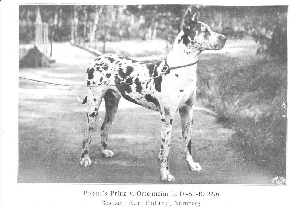 Prinz v Ortenheim